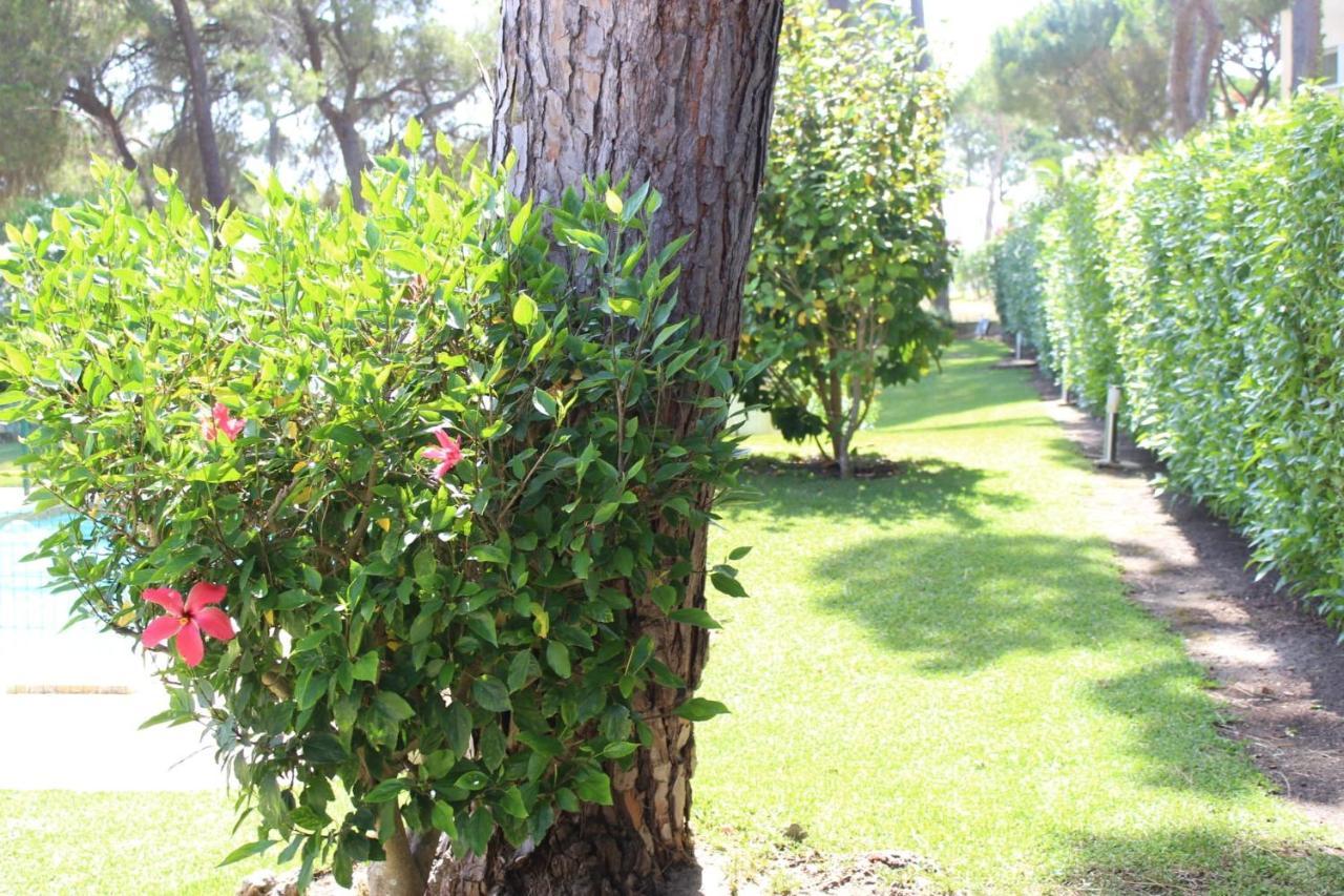 The Pinewood Villa Vilamoura Exterior foto