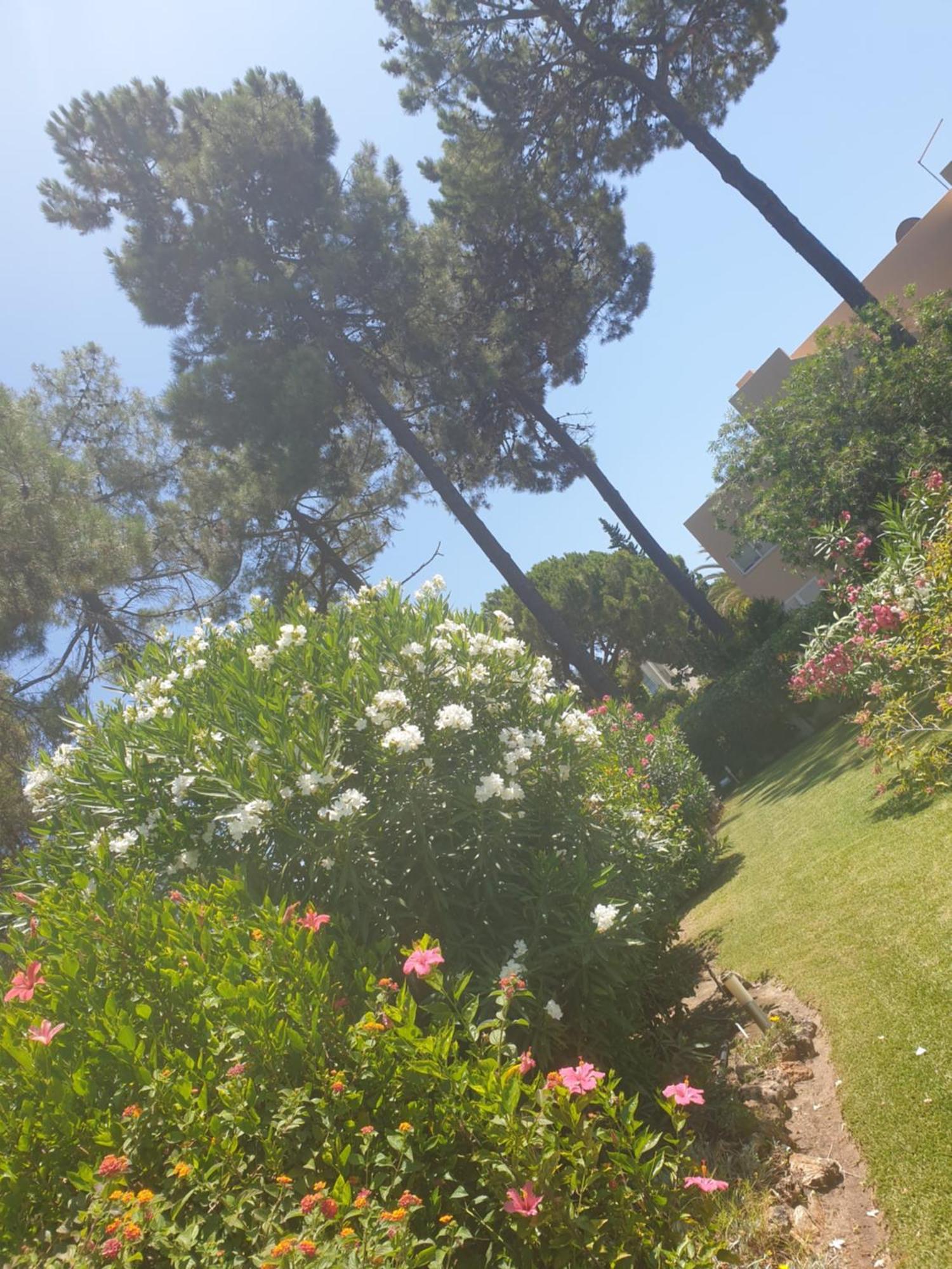 The Pinewood Villa Vilamoura Cameră foto